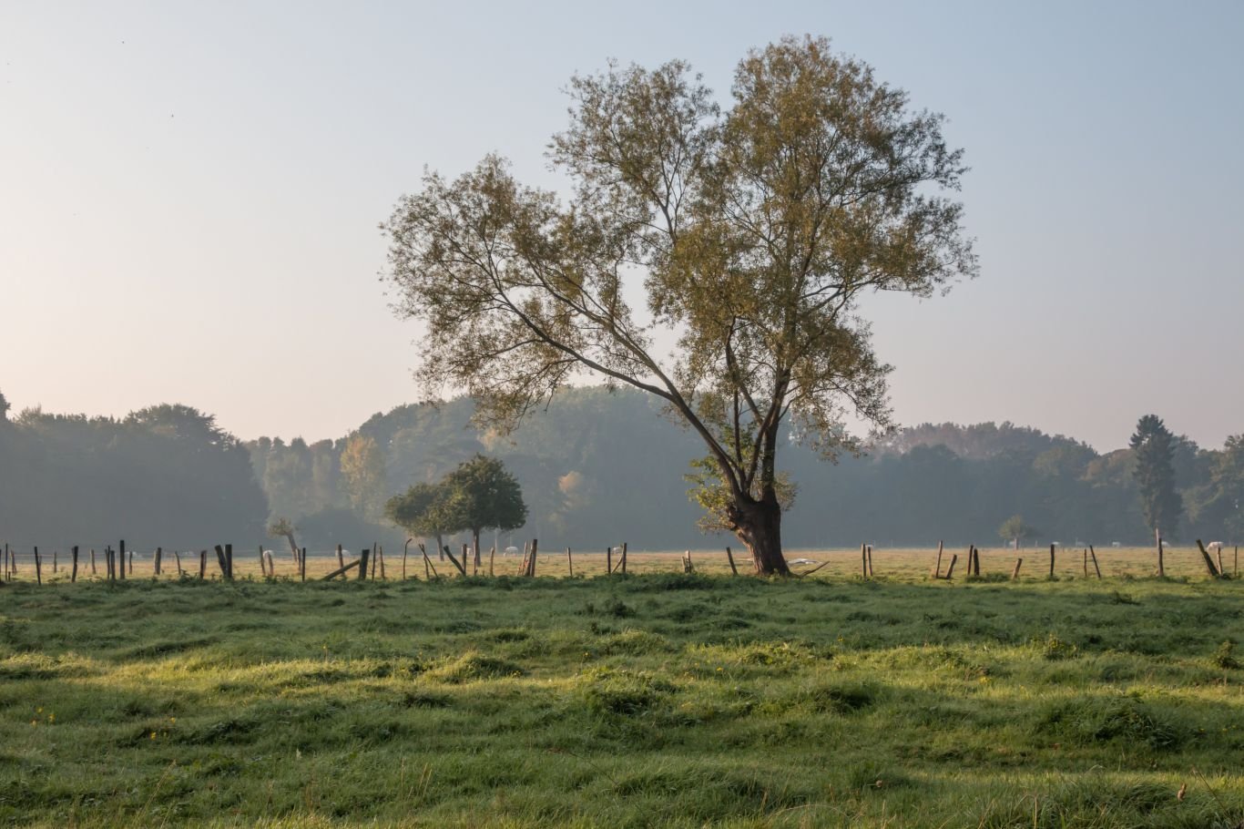 Fietstocht 