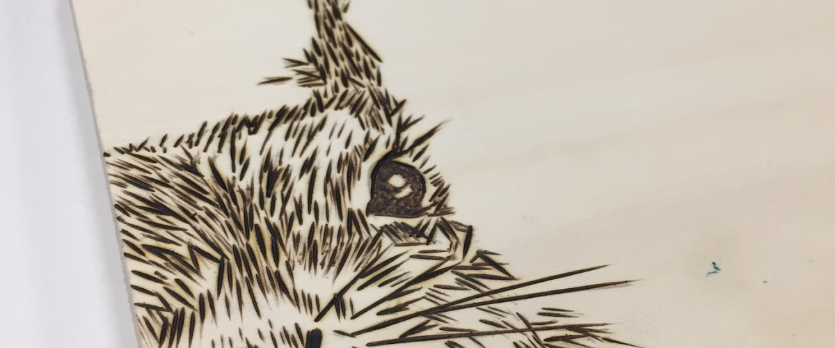 Pyrografie