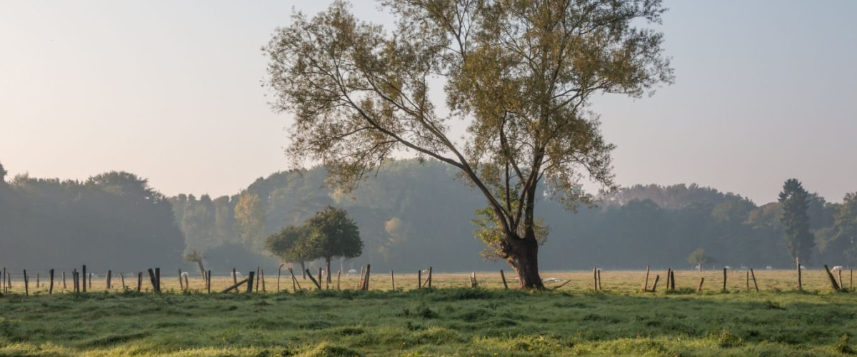 Fietstocht 